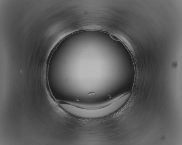 X0000094431000200711211428