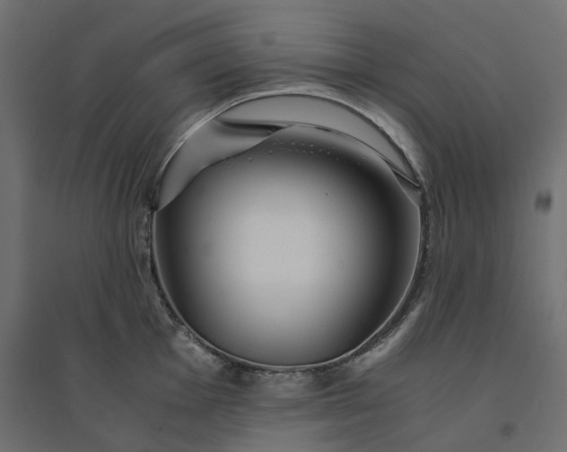 X0000094431001200711211428