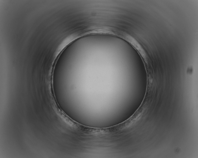 X0000094431002200711211428