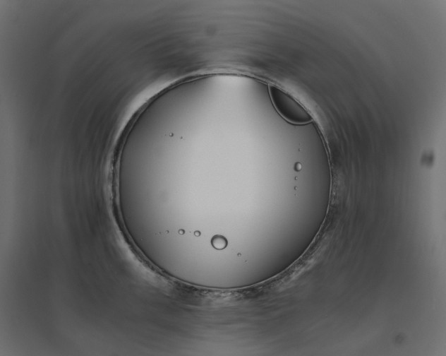 X0000094431003200711211428