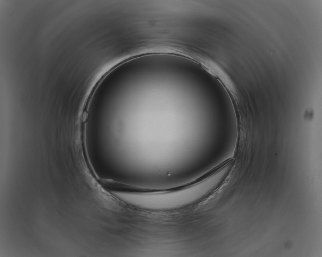 X0000094431004200711211428