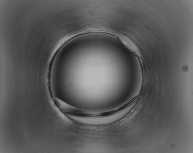 X0000094431005200711211428