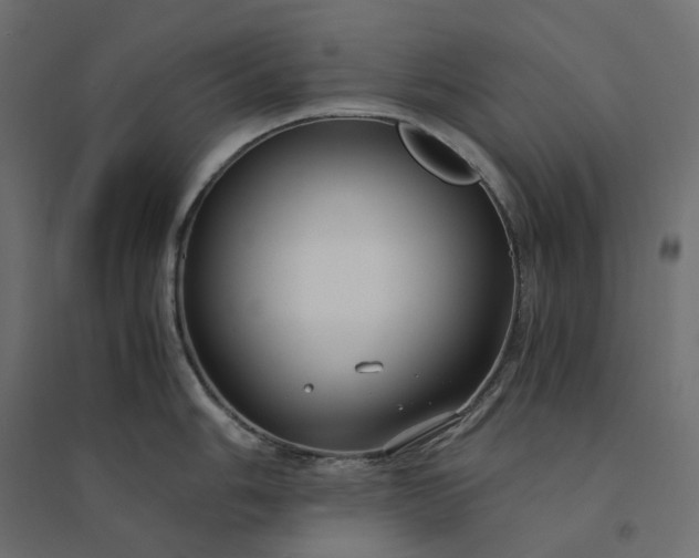 X0000094431006200711211428
