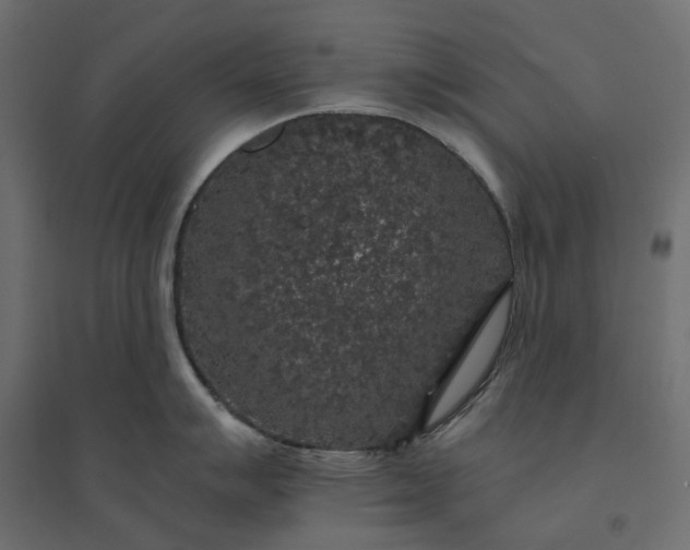 X0000094431007200711211428