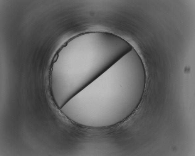 X0000094431008200711211428