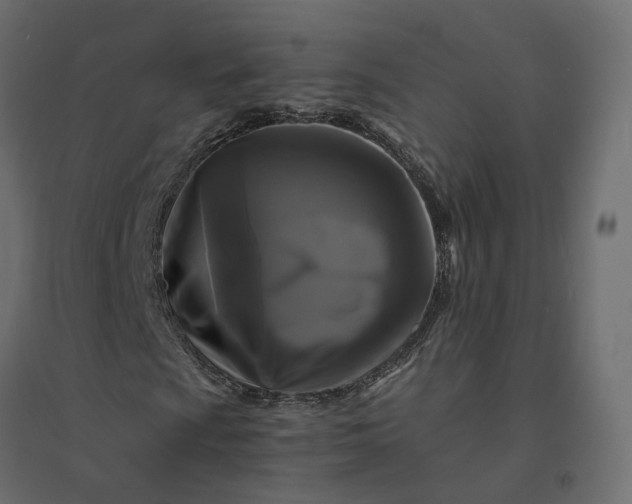 X0000094431009200711211428