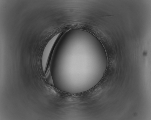 X0000094431010200711211428