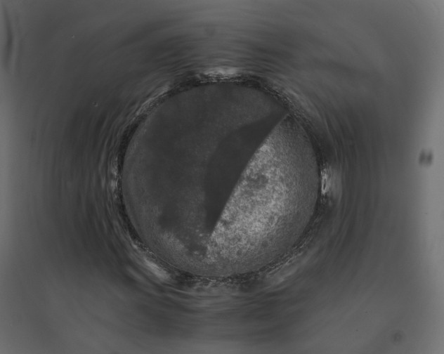 X0000094431011200711211428