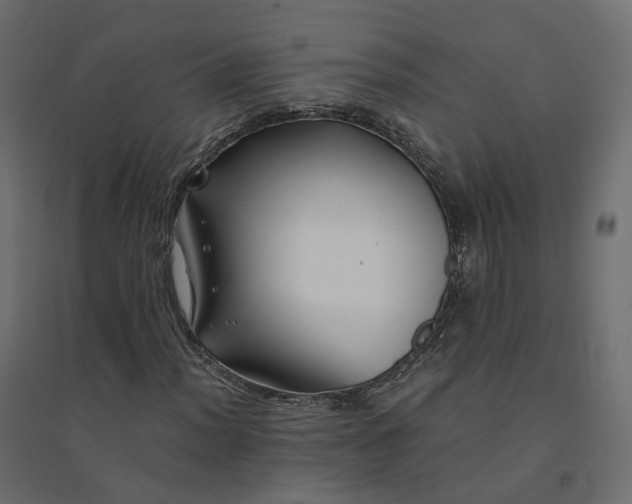 X0000094431012200711211428