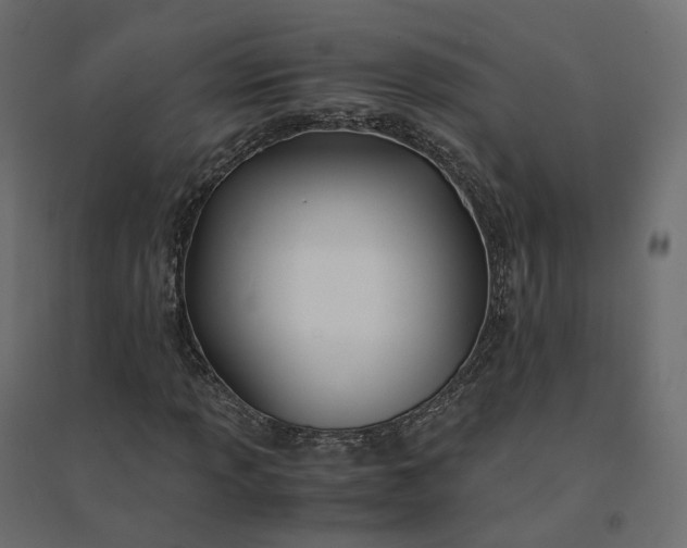 X0000094431013200711211428