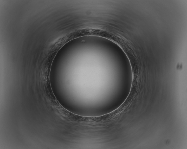 X0000094431014200711211428
