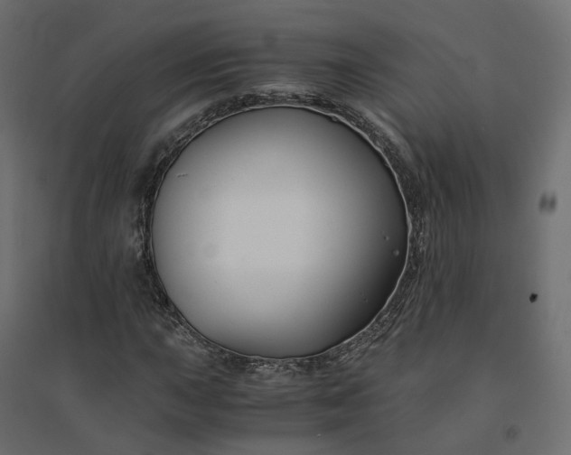 X0000094431015200711211428