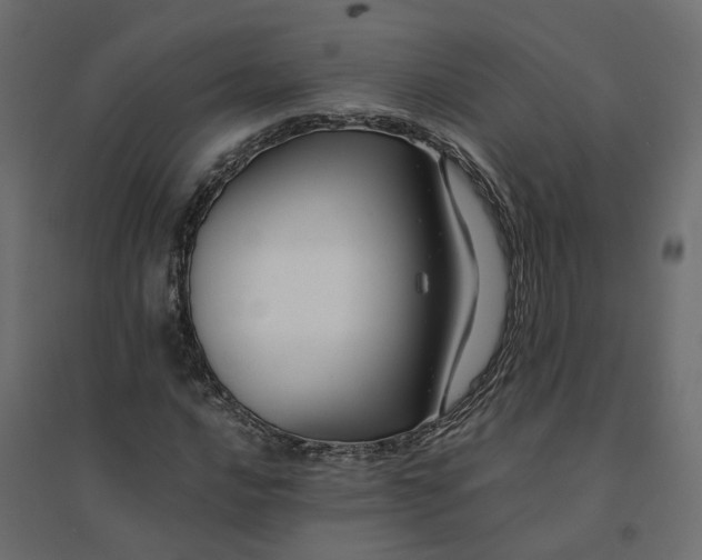 X0000094431016200711211428
