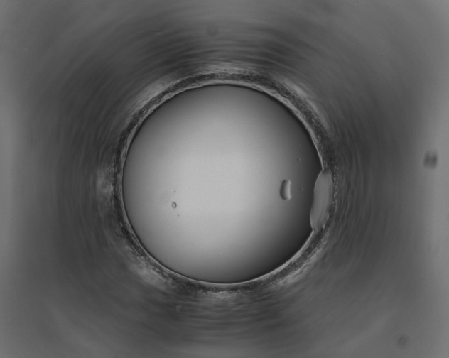X0000094431017200711211428