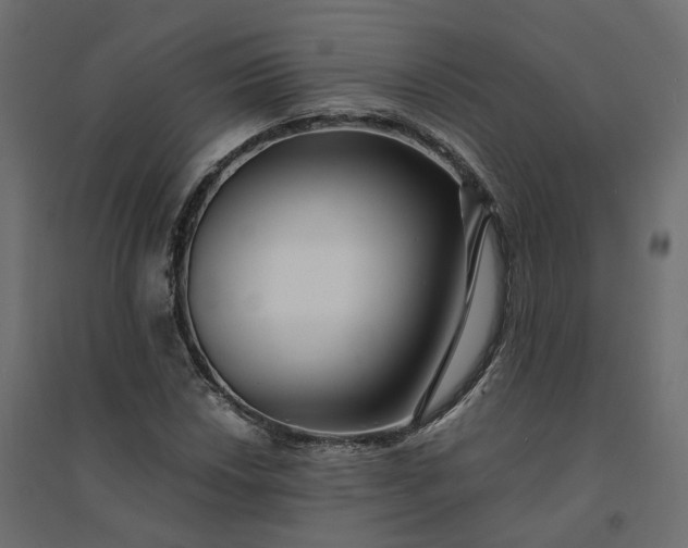 X0000094431018200711211428