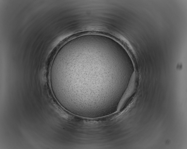 X0000094431019200711211428