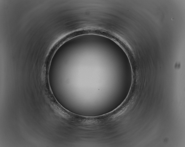 X0000094431021200711211428