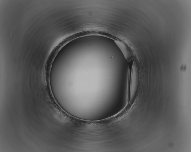 X0000094431022200711211428