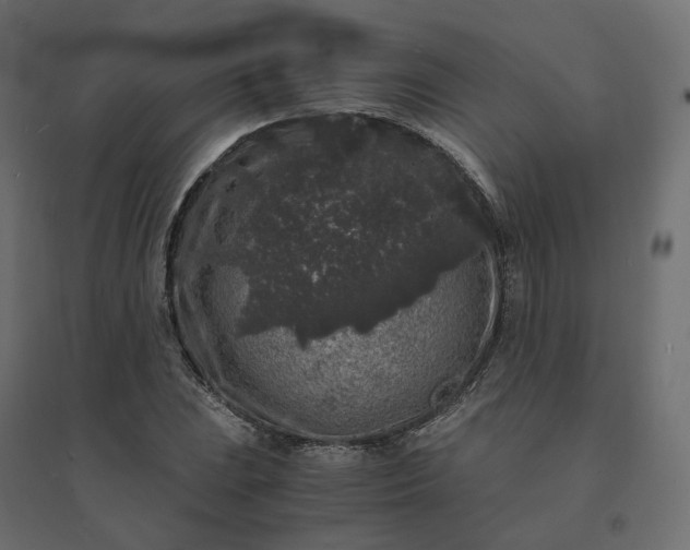X0000094431023200711211428