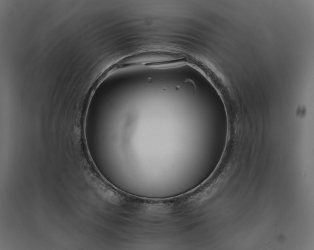 X0000094431025200711211428