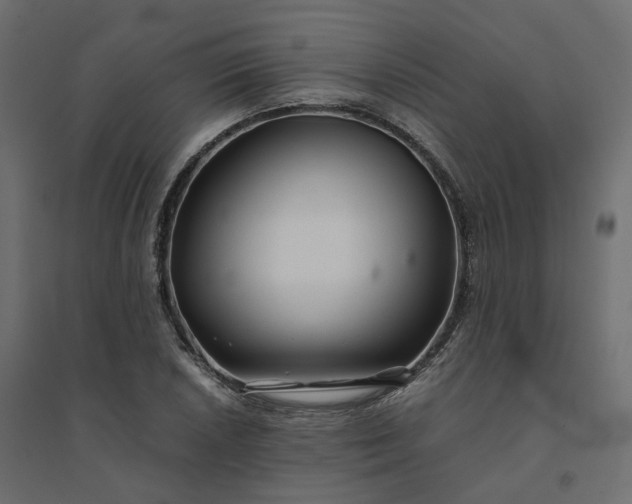 X0000094431026200711211428
