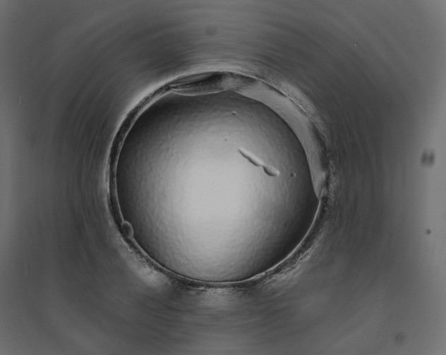 X0000094431028200711211428