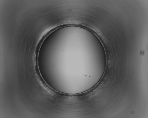 X0000094431030200711211428