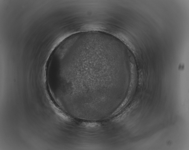 X0000094431031200711211428