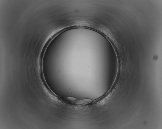 X0000094431032200711211428