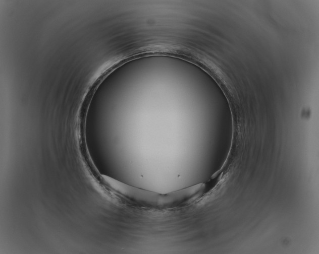 X0000094431034200711211428