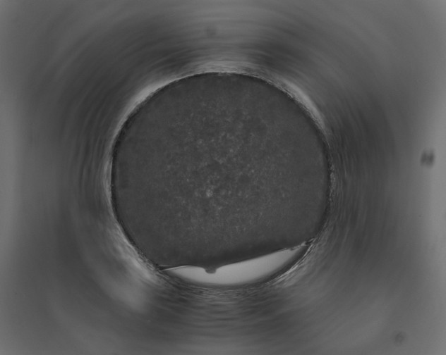 X0000094431035200711211428