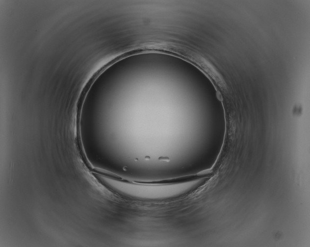X0000094431036200711211428