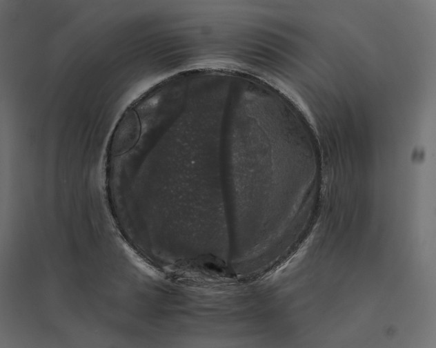 X0000094431037200711211428