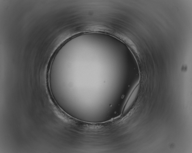 X0000094431039200711211428