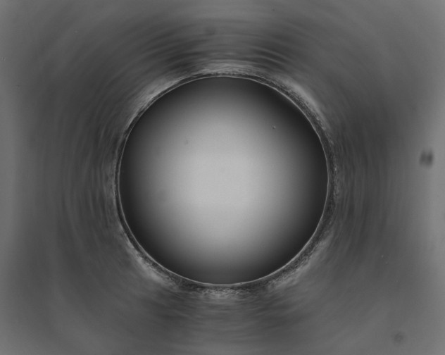 X0000094431041200711211428