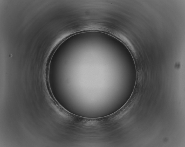 X0000094431043200711211428