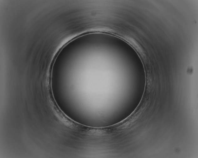 X0000094431044200711211428