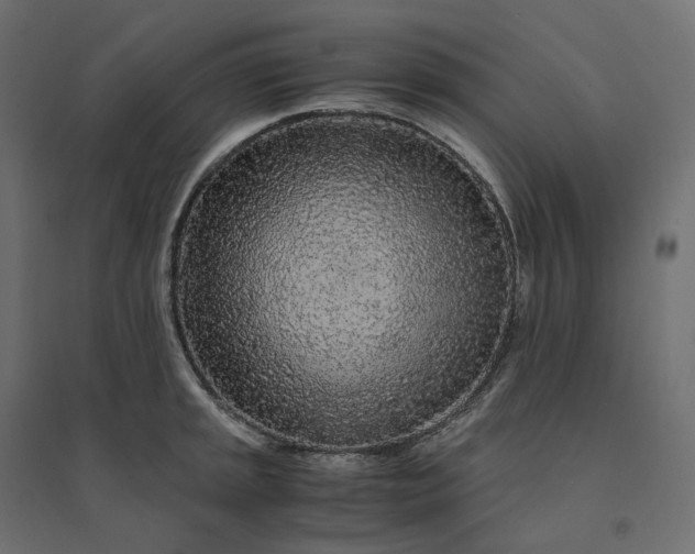 X0000094431045200711211428