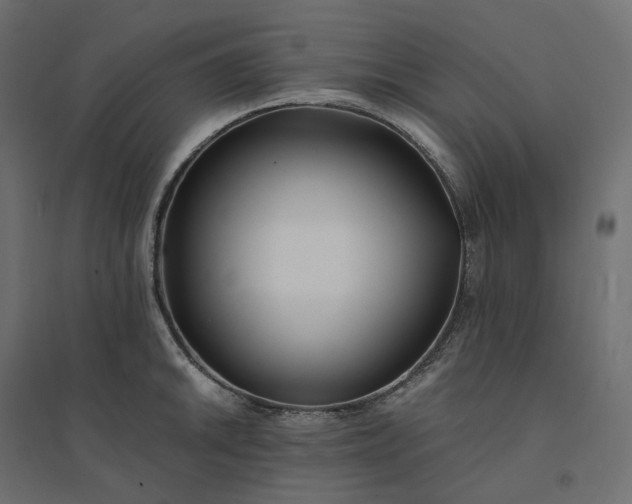X0000094431046200711211428