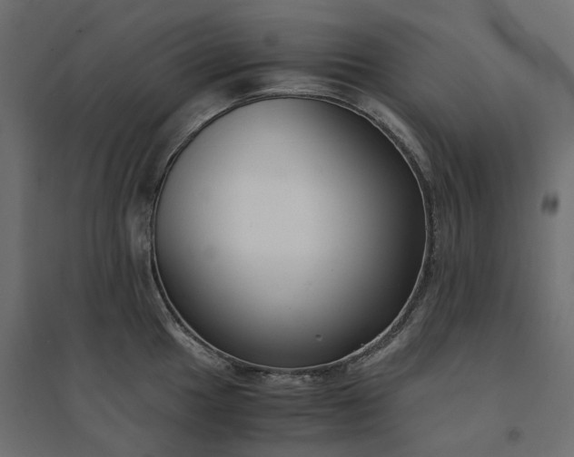X0000094431049200711211428