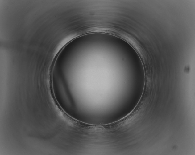 X0000094431050200711211428