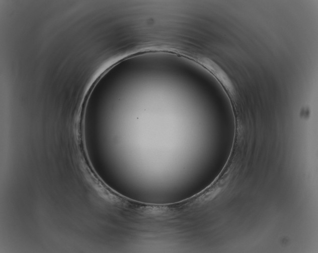 X0000094431052200711211428