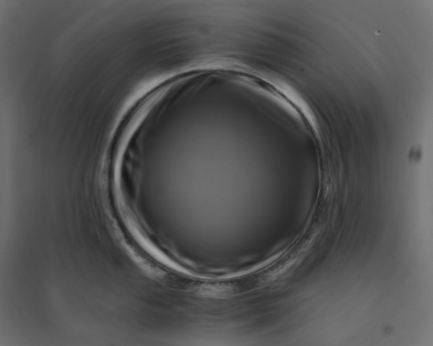 X0000094431053200711211428