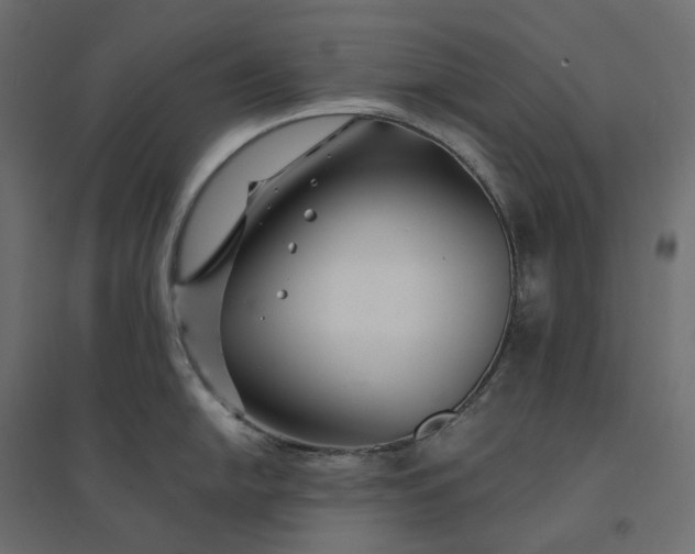 X0000094431054200711211428