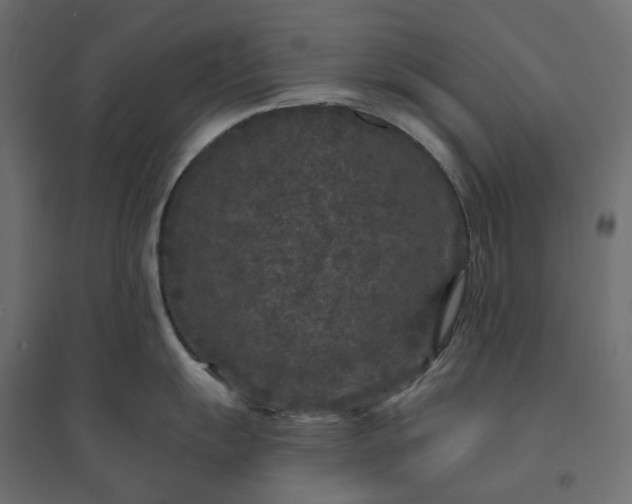 X0000094431055200711211428