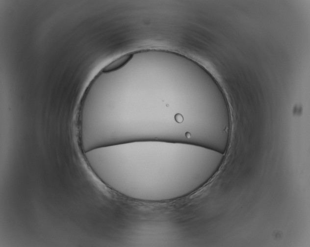 X0000094431056200711211428