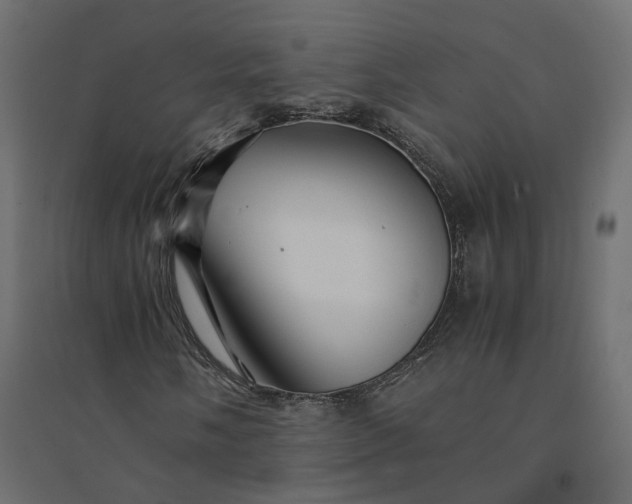 X0000094431058200711211428