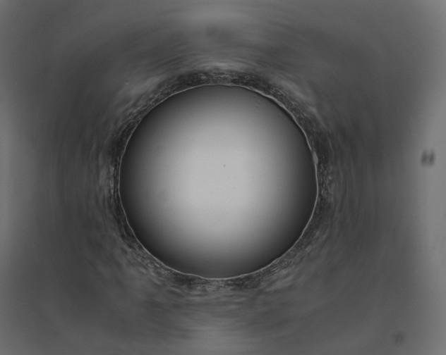 X0000094431061200711211428