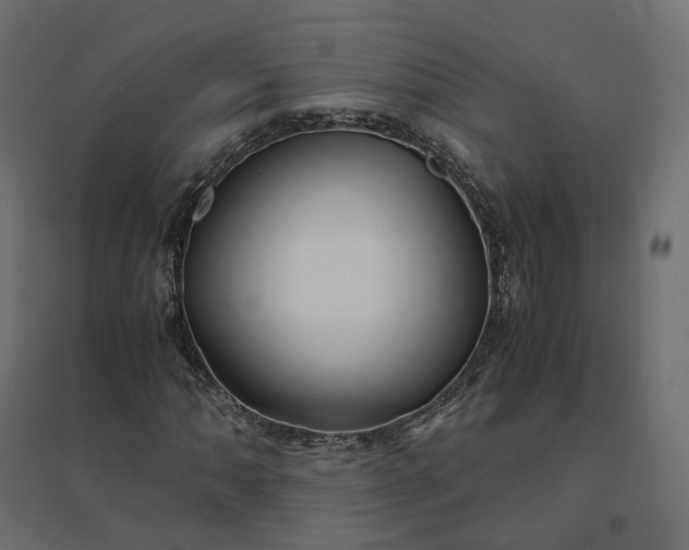 X0000094431062200711211428