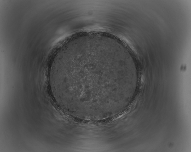 X0000094431063200711211428